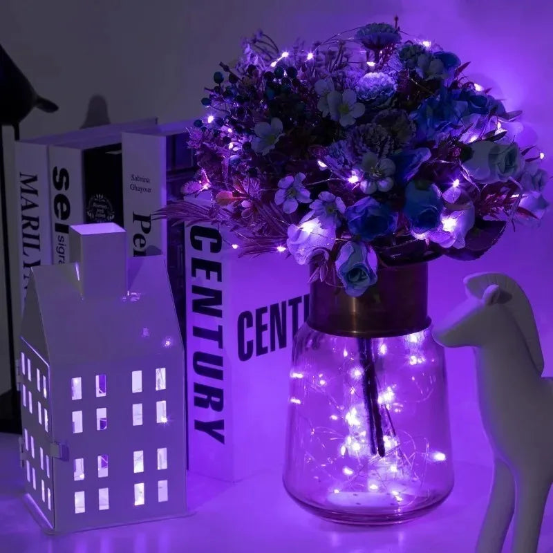 Guirlande Lumineuse LED à Piles — Fil de Cuivre, Déco Salon & Chambre