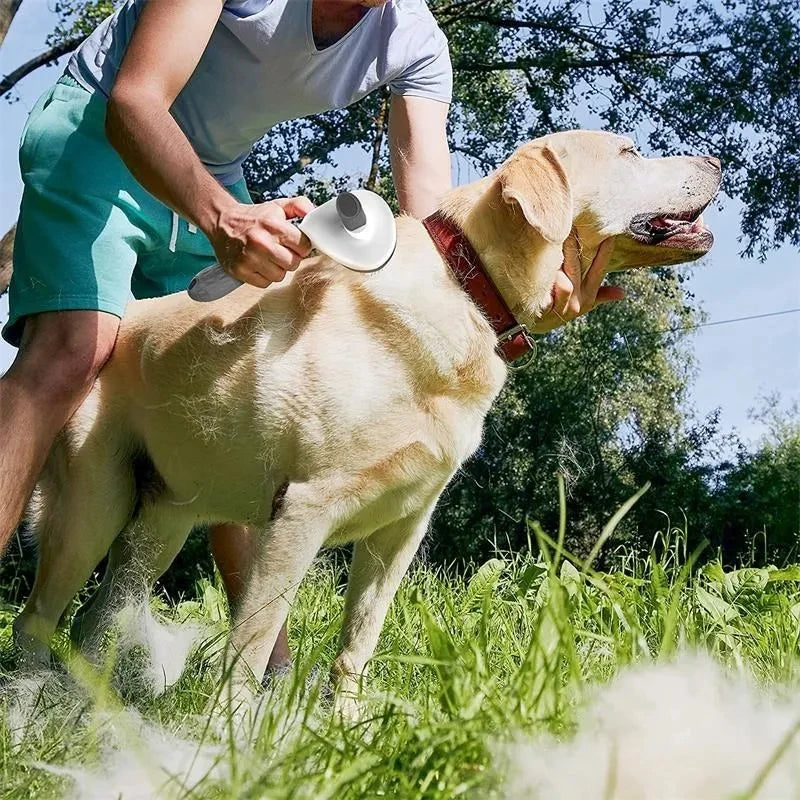 Brosse Auto-Nettoyante Silicone — Chien & Chat Poils Courts/Longs