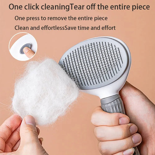 Brosse One-Click Attrape-Poils Animaux — Chien & Chat