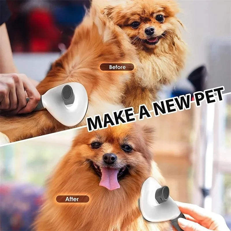 Brosse Auto-Nettoyante Silicone — Chien & Chat Poils Courts/Longs