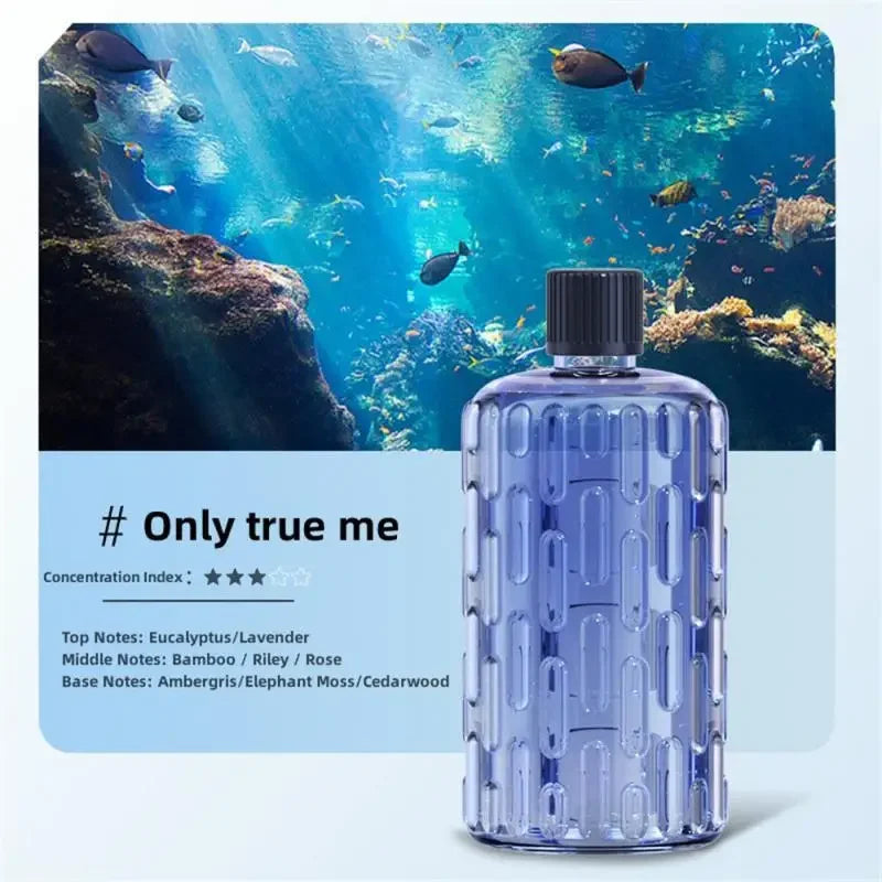 Diffuseur Arômes Style Hôtel — Huile Essentielle 50ml